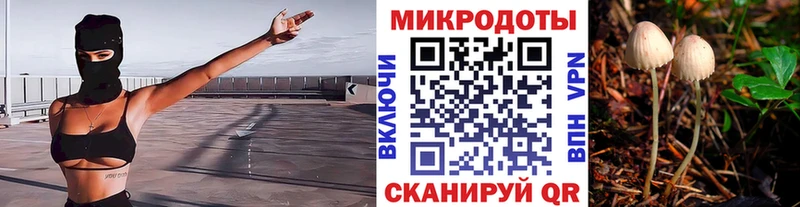 где продают наркотики  omg ТОР  Псилоцибиновые грибы мухоморы  Сусуман 